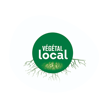 Logo-Vegetal-Local